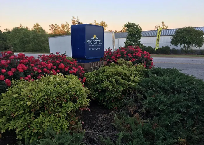 Microtel Inn & Suites By Wyndham